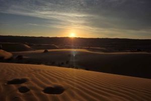 From Muscat: Desert and Wadi Bani Khalid Oasis Full-Day Tour
