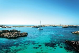 Från Muscat: Snorkeltur på Dimaniyatöarna