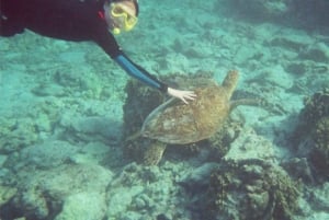 From Muscat: Dimaniyat Islands Snorkeling Tour