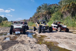 Desde Mascate: Épica travesía de 2 días en UTV por Jabal Abyad