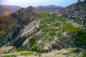 Från Muscat: Privat Nizwa & Jabel Akhdar - Shams med lunch