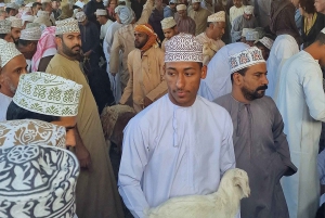 من مسقط: يوم كامل إلى نزوى الجبل الأخضر ببركة المعز