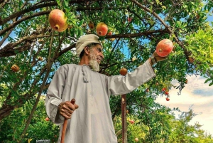 من مسقط: يوم كامل إلى نزوى الجبل الأخضر ببركة المعز