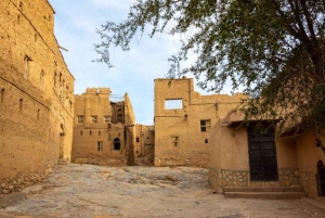 Fra Muscat: Heldagstur til Nizwa-Misfat Al Abriyeen-Al Hamra