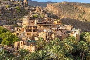 Fra Muscat: Heldagstur til Nizwa-Misfat Al Abriyeen-Al Hamra
