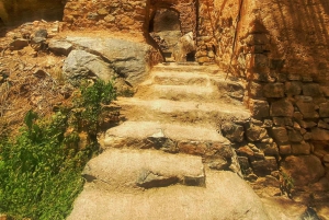 Fra Muscat: Heldagstur til Nizwa-Misfat Al Abriyeen-Al Hamra