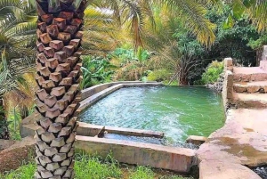 Fra Muscat: Heldagstur til Nizwa-Misfat Al Abriyeen-Al Hamra