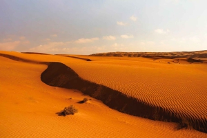 من مسقط: يوم كامل إلى رمال وهيبة ووادي بني خالد