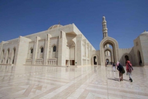 Depuis Mascate : Grande Mosquée-Wadi Shab-plage des palmes et gouffre