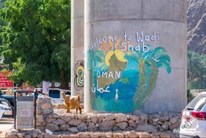 Depuis Mascate : Grande Mosquée-Wadi Shab-plage des palmes et gouffre