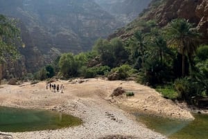 Depuis Mascate : Grande Mosquée-Wadi Shab-plage des palmes et gouffre