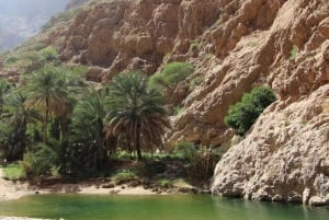 Depuis Mascate : Grande Mosquée-Wadi Shab-plage des palmes et gouffre