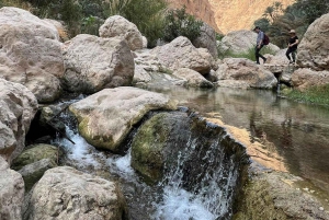 Depuis Mascate : Grande Mosquée-Wadi Shab-plage des palmes et gouffre