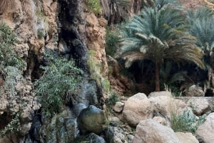 Depuis Mascate : Grande Mosquée-Wadi Shab-plage des palmes et gouffre