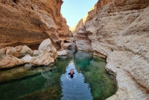 Depuis Mascate : Grande Mosquée-Wadi Shab-plage des palmes et gouffre