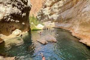 Depuis Mascate : Grande Mosquée-Wadi Shab-plage des palmes et gouffre