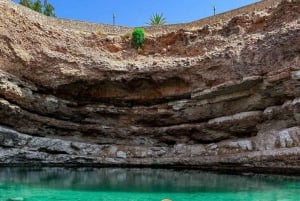 Depuis Mascate : Grande Mosquée-Wadi Shab-plage des palmes et gouffre