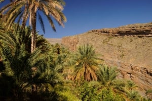 From Muscat: Green Mountain & Jebel Al Akhdar Day Tour