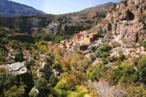 From Muscat: Green Mountain & Jebel Al Akhdar Day Tour