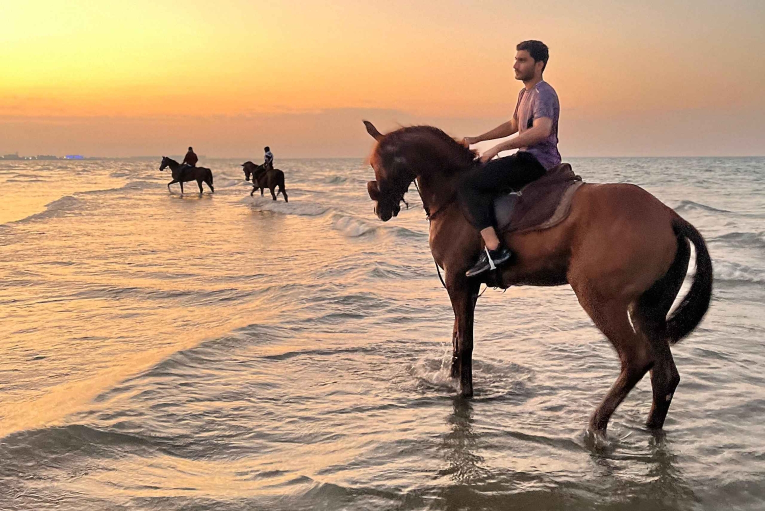 From Muscat: Horse Riding by the Beach