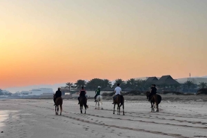 From Muscat: Horse Riding by the Beach