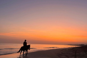 From Muscat: Horse Riding by the Beach