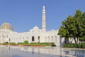 Från Muscat: Halvdagsutflykt i Muscat