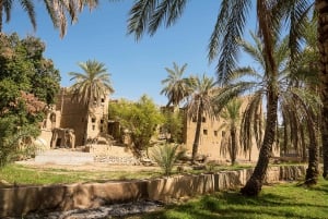 Fra Muscat: Nizwa & Al Hamra guidet historisk tur