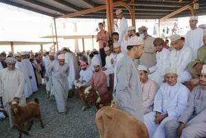 From Muscat: Nizwa and Misfat Al Abriyeen Private + Lunch