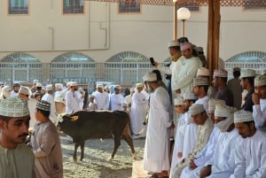 Muscat: Nizwa, Birkat Al Mouz e Museo Oman Across Ages