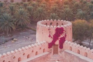 Fra Muscat: Nizwa Historical PRIVATE Tour