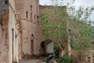 Da Muscat: avventura di 1 giorno a Nizwa e Jebel Akhdar