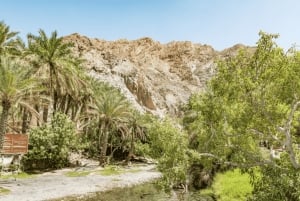 Muscatista: Pohjoiset dyynit ja Wadi Hot Spring Tour lounaalla