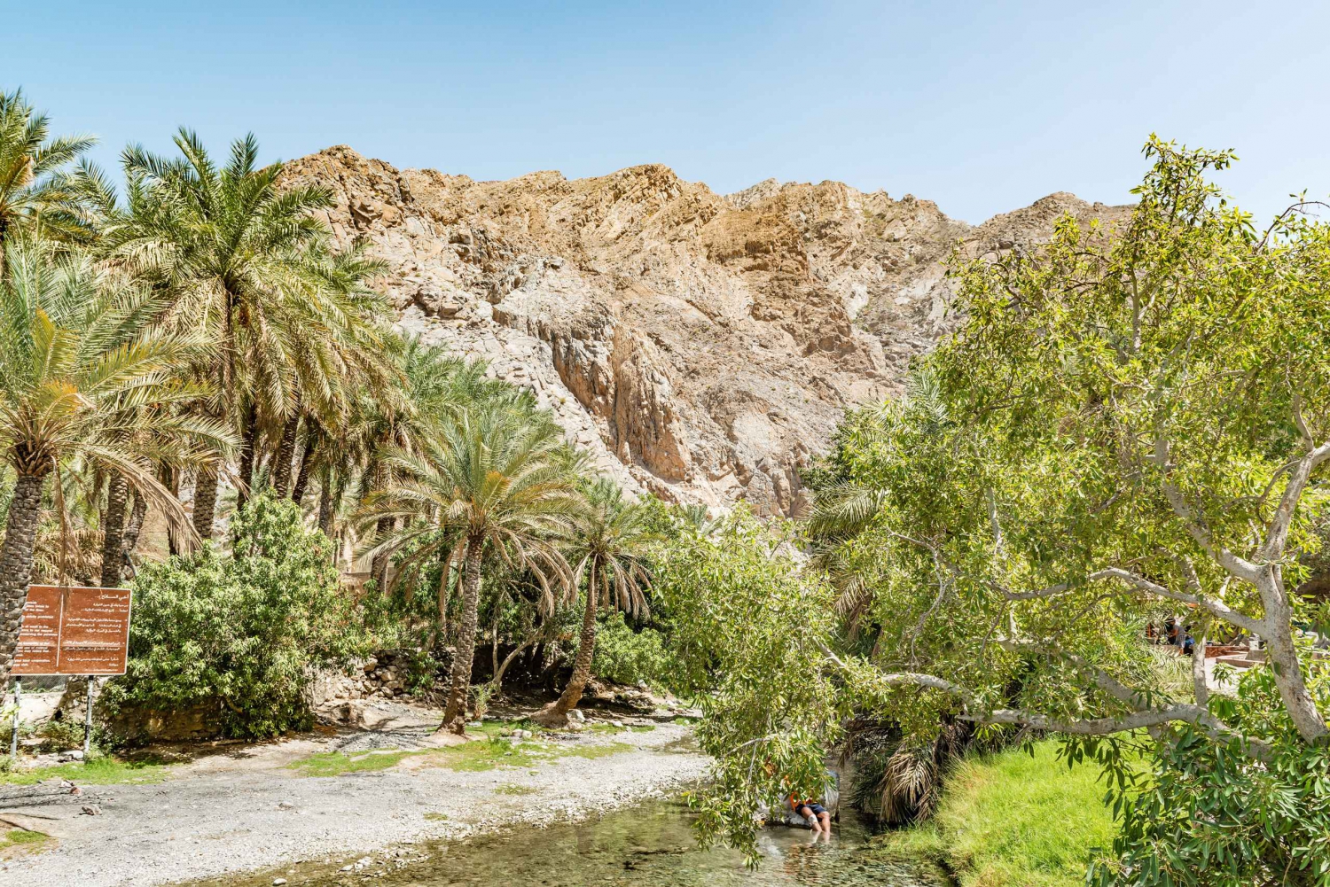 From Muscat: North Dunes Safari and Hot Spring Visit