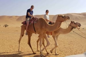 From Muscat: Private Desert Safari and Overnight