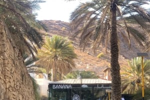 Från Muscat: Privat Nizwa och Jabel Akhdar-Shams med lunch