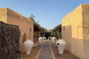Från Muscat: Privat safari i öknen, övernattning & Wadi Khalid