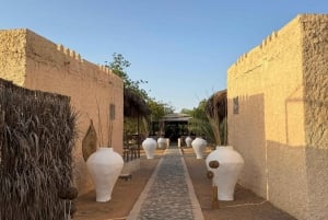 Ab Muscat: Private Safari Wüste, Übernachtung & Wadi Khalid