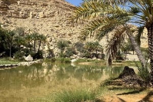 Fra Muscat: Privat safari i ørkenen, overnatting og Wadi Khalid