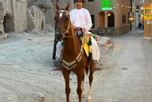 FROM MUSCAT: PRIVATE TOUR - NIZWA & JABEL AKHDAR 4X4 JEEP