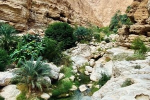 من مسقط: جولة خاصة في وادي الشاب وبمة سينكهول