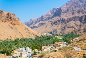 From Muscat: Red Dunes and Wadi Safari with Lunch