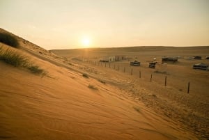 From Muscat: Red Dunes and Wadi Safari with Lunch