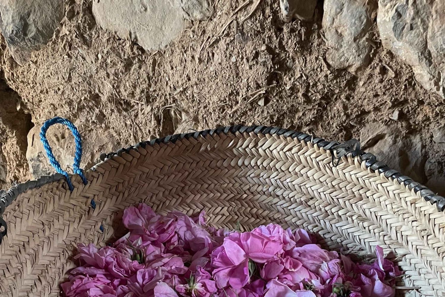 من مسقط: جولة الورد في الجبل الأخضر مع الغداء