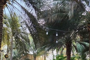 من مسقط: جولة في الرستاق مع الغداء والينابيع الساخنة