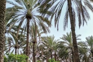 من مسقط: جولة في الرستاق مع الغداء والينابيع الساخنة