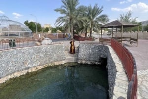 من مسقط: جولة في الرستاق مع الغداء والينابيع الساخنة