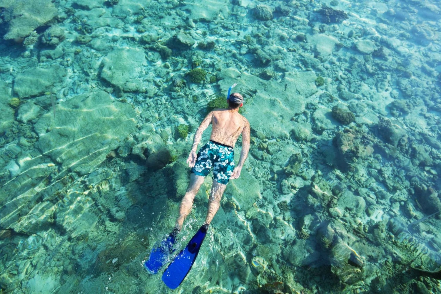 من مسقط: رحلة الغطس (رحلة جزيرة الديمانيات)