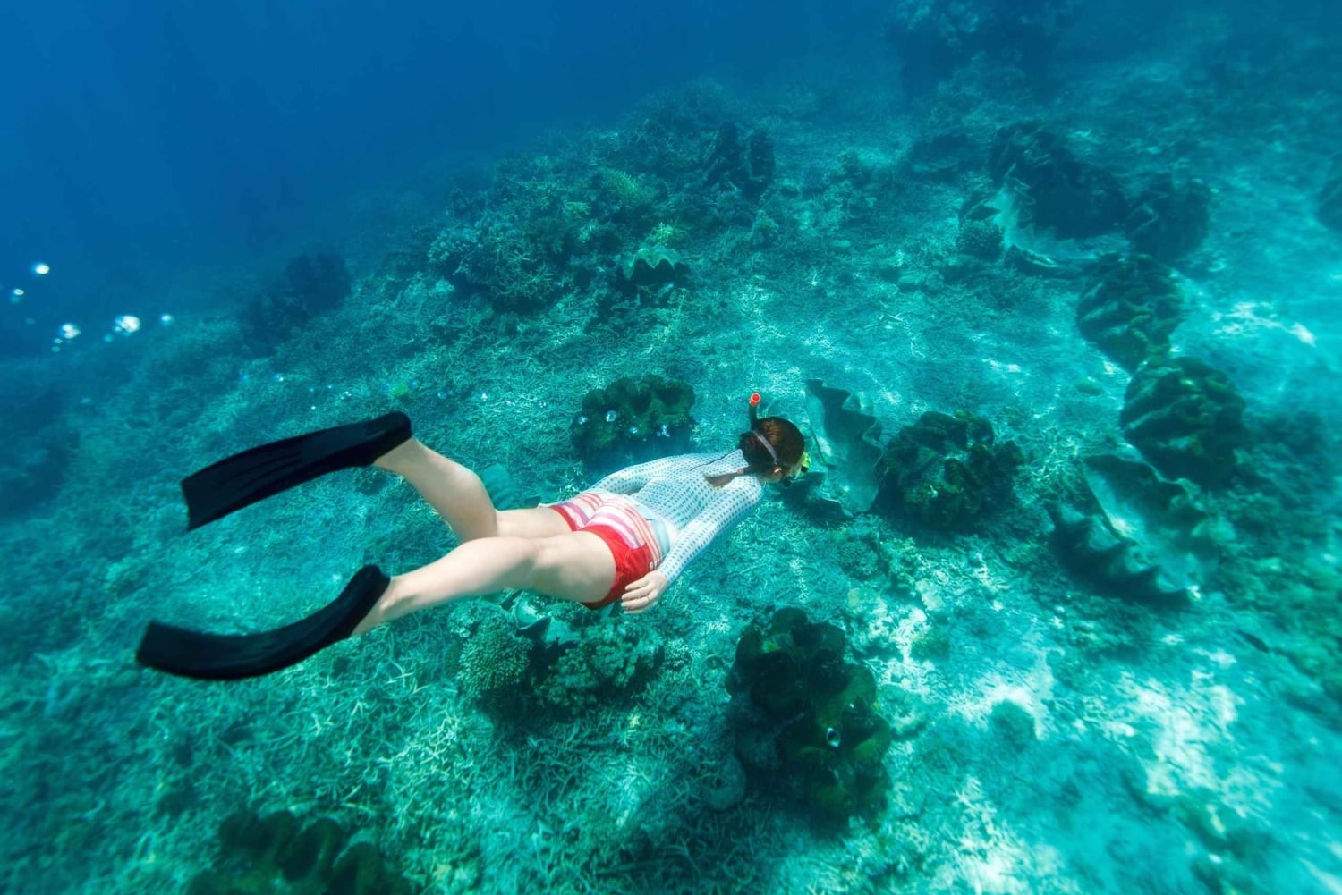 من مسقط: رحلة الغطس (رحلة جزيرة الديمانيات)