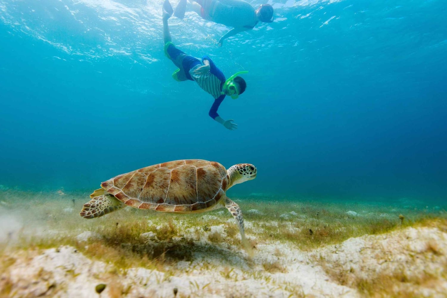 من مسقط: رحلة الغطس (رحلة جزيرة الديمانيات)